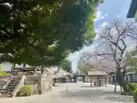 東寺(教王護国寺)(京都府)