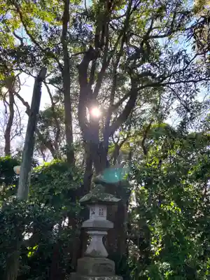 川口神社(千葉県)