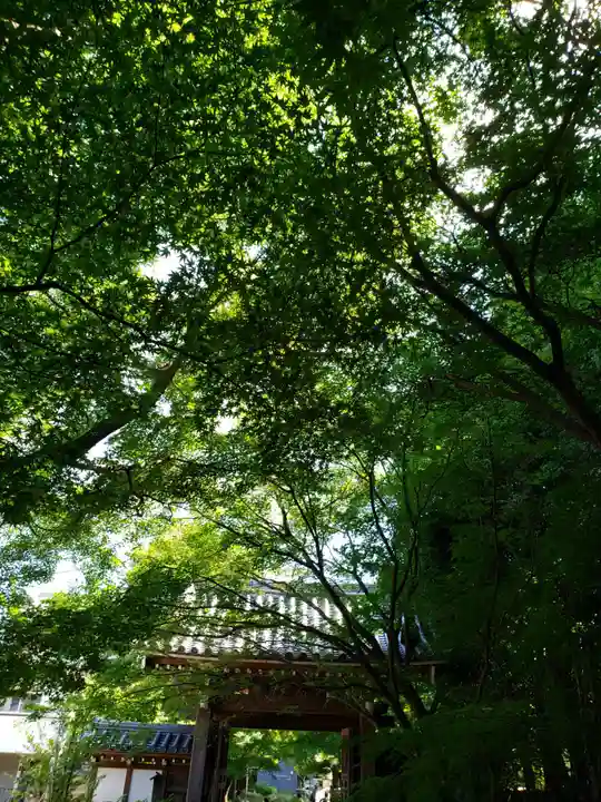 高円寺(東京都)