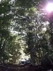 倉澤神社の建物その他