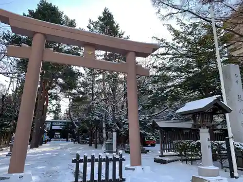 琴似神社の鳥居