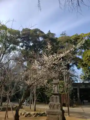 赤坂氷川神社(東京都)