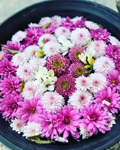 鹿島台神社の手水舎