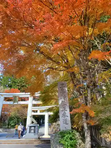 三峯神社の鳥居