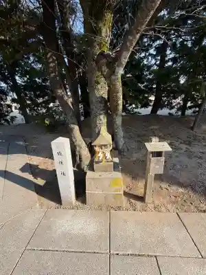 万九千社の{uncategorized: "未分類", other: "その他", undefined: "問題あり", building: "その他建物", grave: "お墓", sacred_gate: "鳥居", guardian: "狛犬", statue: "像", buddha: "仏像", history: "歴史", nature: "自然", garden: "庭園", animal: "動物", pagoda: "塔", temizu: "手水舎", mountain_gate: "山門・神門", sanctuary: "本殿・本堂", subordinate: "末社・摂社", art: "芸術", scenery: "景色", jizo: "地蔵", ema: "絵馬", goshuin: "御朱印", omikuji: "おみくじ", items: "授与品その他", amulet: "お守り", goshuincho: "御朱印帳", eats: "食事", festival: "お祭り", votive_dance: "神楽", shichigosan: "七五三参", wedding: "結婚式", experience: "体験その他", initially: "初詣", around: "周辺", anti_infection: "感染症対策"}