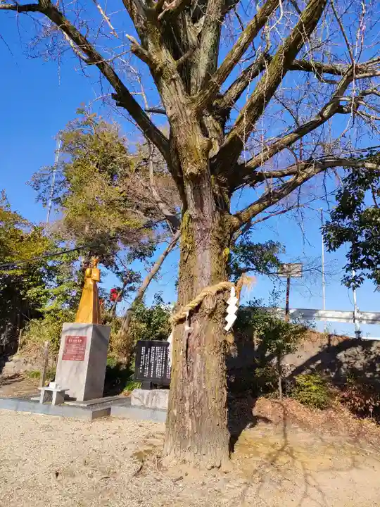萱津神社の自然