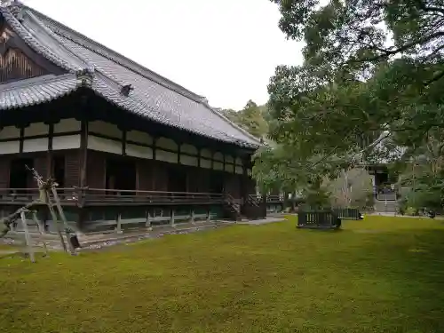 青蓮院門跡の庭園