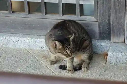 石切劔箭神社上之社の動物