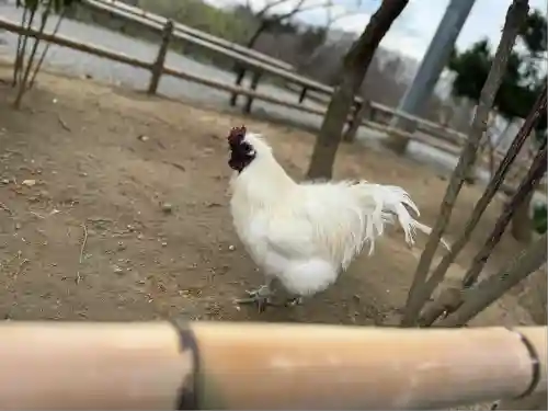 高屋敷稲荷神社(福島県)
