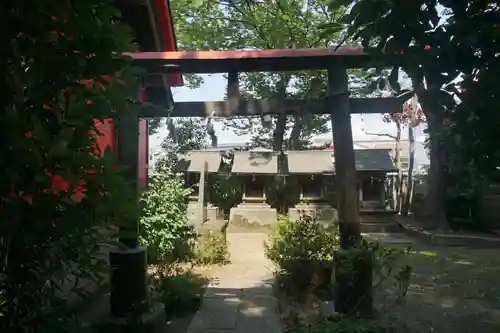 今井神社の鳥居