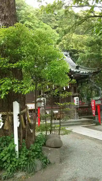 八雲神社(鎌倉・大町)の本殿・本堂