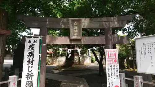 白髭神社の鳥居