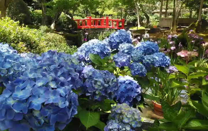 祐徳稲荷神社の自然