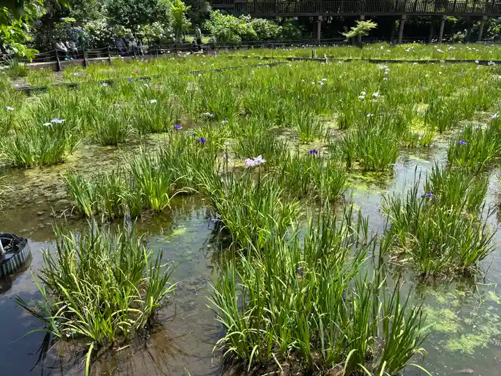 本土寺(千葉県)