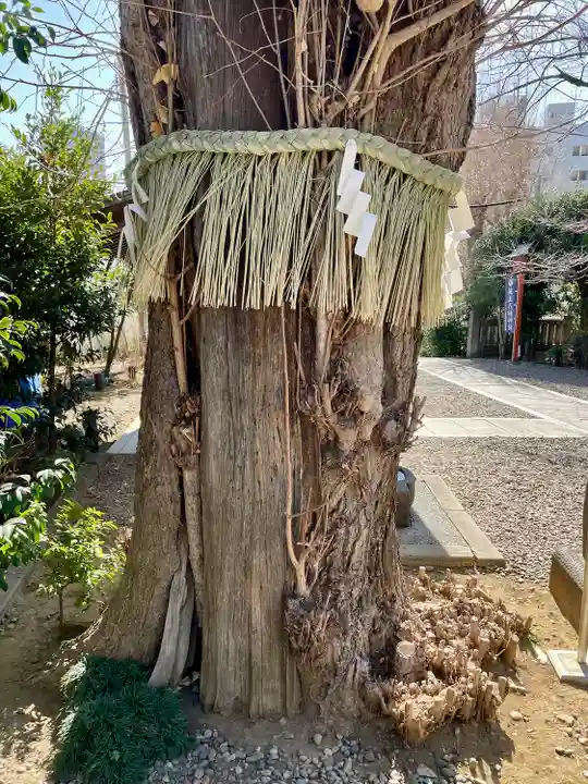 筑土八幡神社(東京都)