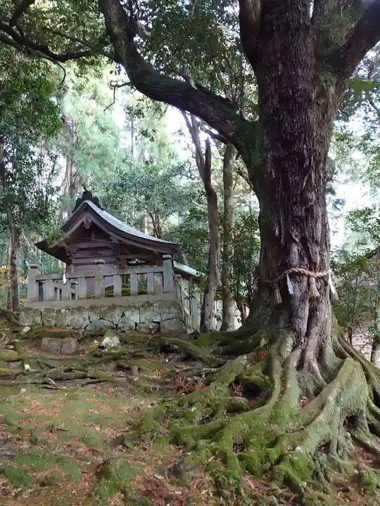 赤猪岩神社の自然