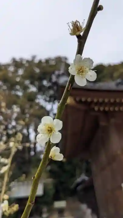 熊野神社(板山熊野神社)(愛知県)