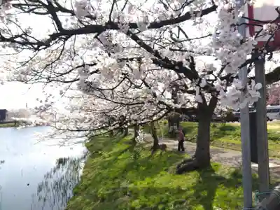 榊神社(新潟県)