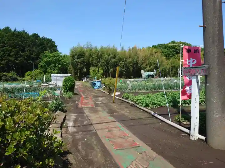 中将姫(神奈川県)