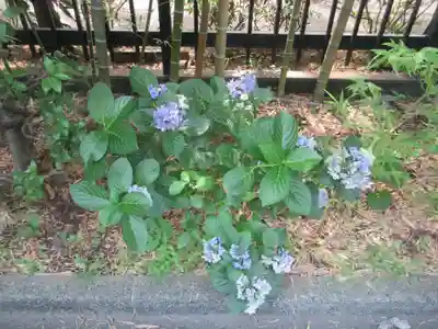 回向院(東京都)
