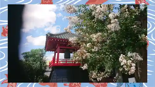 大蔵院(群馬県)