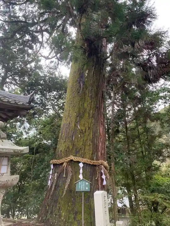 石山寺(滋賀県)