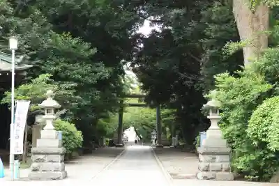 前鳥神社(神奈川県)