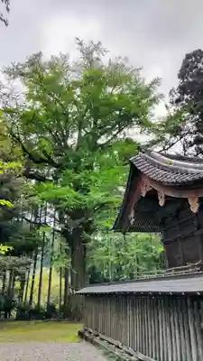 國吉神社(千葉県)