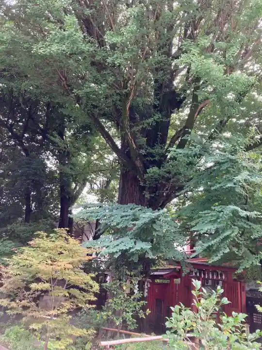 秩父神社(埼玉県)