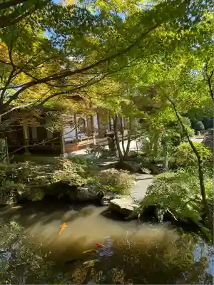 崇禅寺(群馬県)