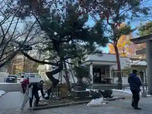 彌彦神社 (伊夜日子神社)の自然(2024年11月20日(水) 09時19分18秒投稿)