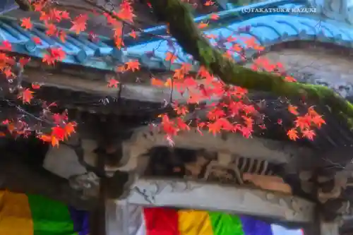 最乗寺（道了尊）(神奈川県)