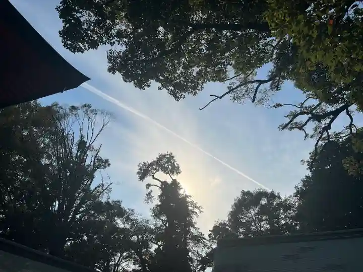 武蔵一宮氷川神社(埼玉県)