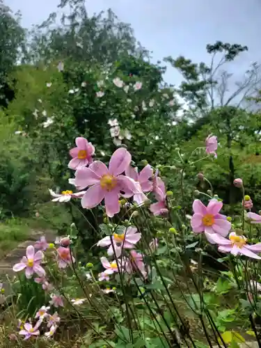 石都々古和気神社(福島県)