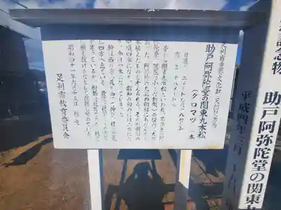 助戸阿弥陀堂(栃木県)