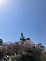 観音山慈眼院(高崎観音)(群馬県)