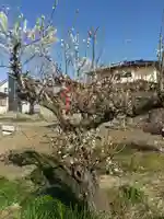 天神社(埼玉県)