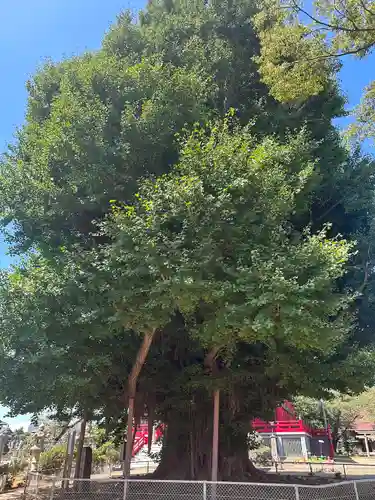 千葉寺(千葉県)