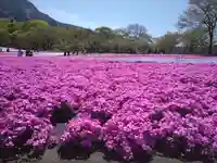 葛葉稲荷神社(埼玉県)