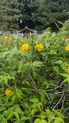 賀茂御祖神社（下鴨神社）の自然