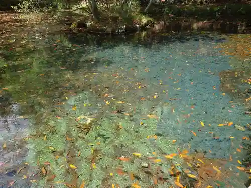 諏訪神社(神奈川県)