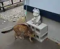 鹿角八坂神社の動物