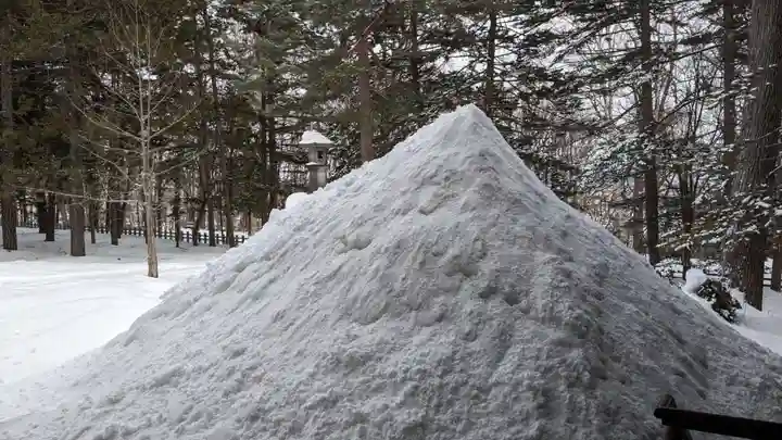 上川神社の自然