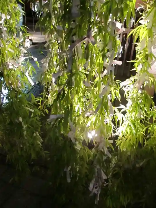 頂法寺(六角堂)の自然