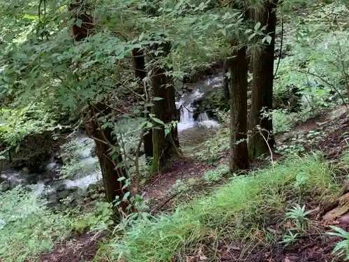 若子神社の自然