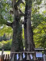 住吉神社(長崎県)