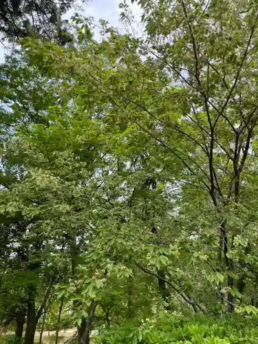 歌泉堂（春日大社神苑萬葉植物園内鎮座）(奈良県)