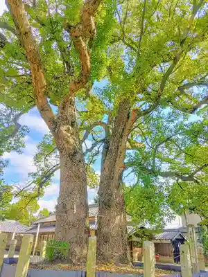 羽利神社の自然