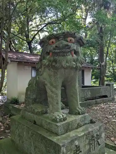 雲上宮神社の狛犬