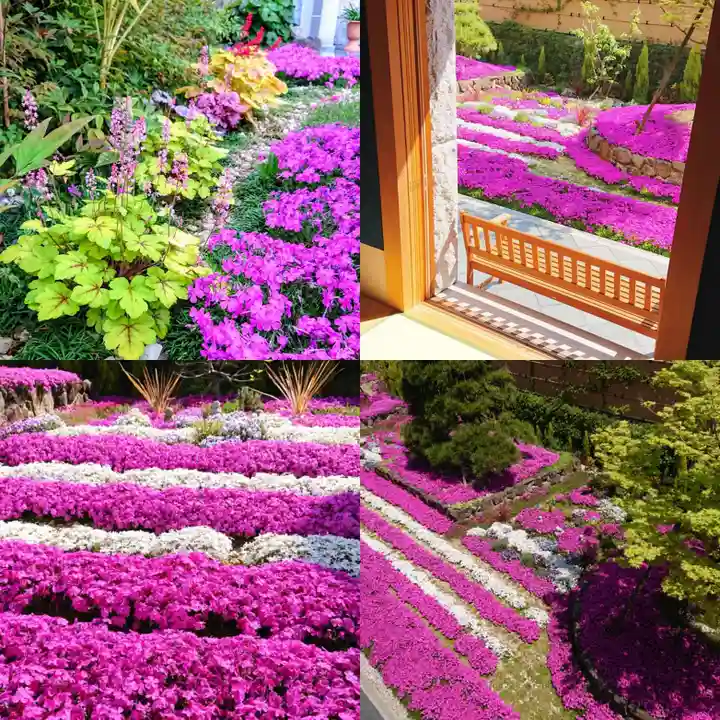 寿量山 速成寺の庭園